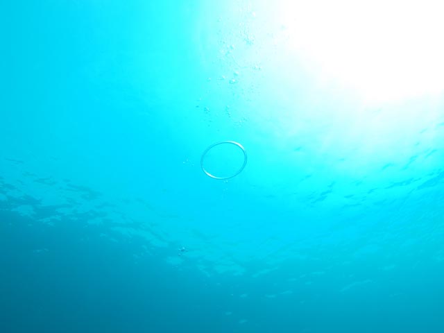 e0064291_524846.jpg
