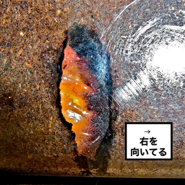c0167798_2028953.jpg