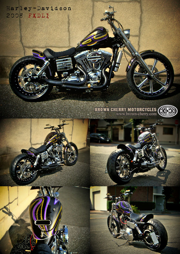 Harley-Davidson 2008FXDLI_c0153300_17154276.jpg
