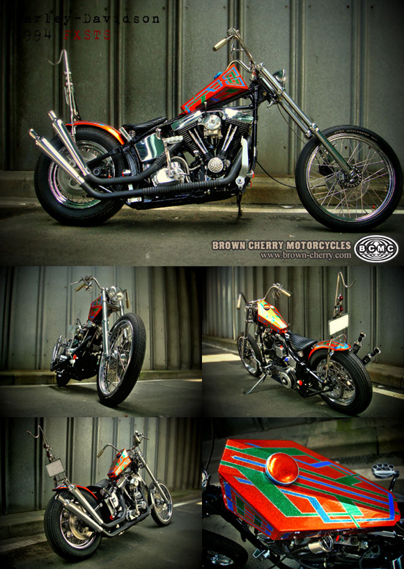 Harley-Davidson 1994FXSTS_c0153300_1741997.jpg