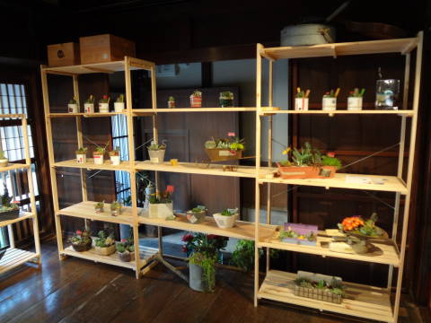 f0213805_1328999.jpg