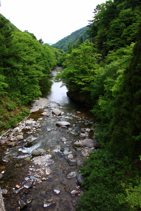 e0174008_21103449.jpg