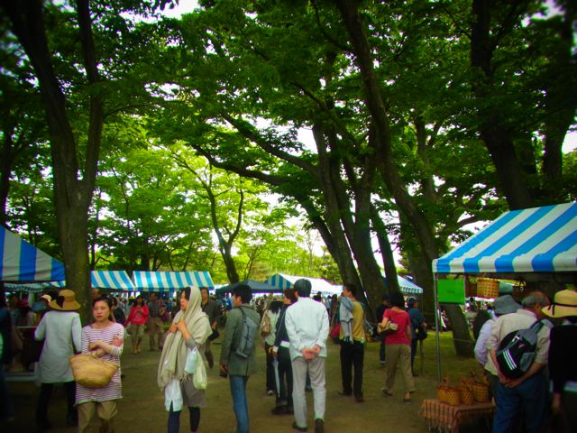 b0183911_1155869.jpg
