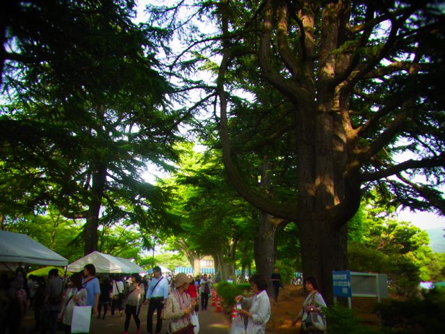 b0183911_1162784.jpg