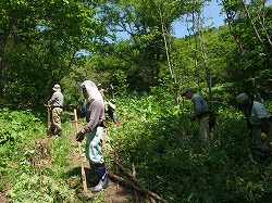 平成24年6月2日(土) 天候:快晴 吉村山林 北の沢都市環境林 参加:15名_c0173813_20151890.jpg