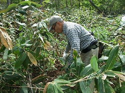 平成24年6月2日(土) 天候:快晴 吉村山林 北の沢都市環境林 参加:15名_c0173813_2054086.jpg