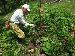 平成24年6月2日(土) 天候:快晴 吉村山林 北の沢都市環境林 参加:15名_c0173813_2091323.jpg