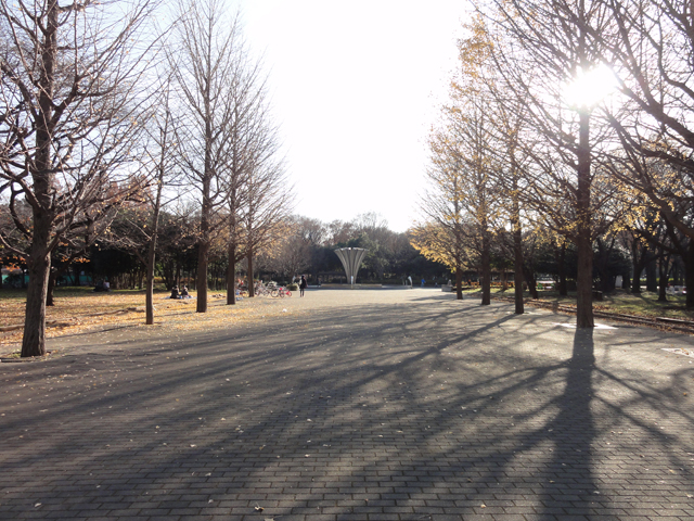 e0031613_21741.jpg