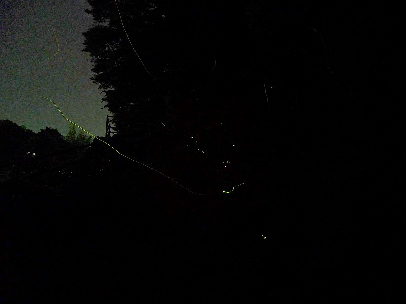 f0182513_958173.jpg