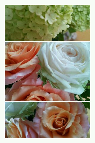 花の力は素晴らしい!_d0049817_2255315.jpg