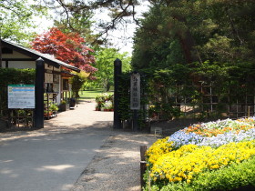 弘前城植物園花20120601_b0147224_2043556.jpg