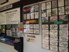 弘前城植物園花20120601_b0147224_2044981.jpg
