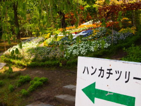 弘前城植物園花20120601_b0147224_217381.jpg