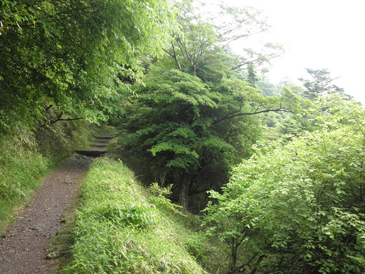 普賢岳 ＆ 平成新山　　その１_b0010125_18583691.jpg