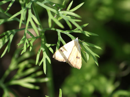 c0184125_2321168.jpg