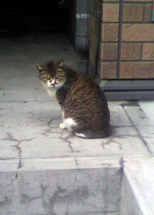 d0133128_001896.jpg