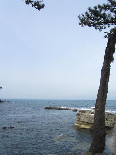 e0137130_1761981.jpg
