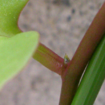 f0108133_885587.jpg