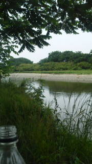 b0180338_21575793.jpg
