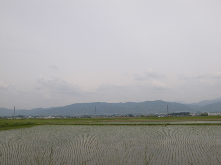 カミナリと雨_a0014840_20331591.jpg