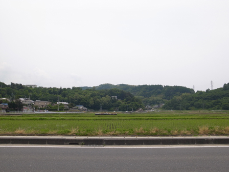 a0014840_205178.jpg