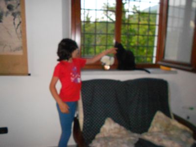 d0136540_3584091.jpg
