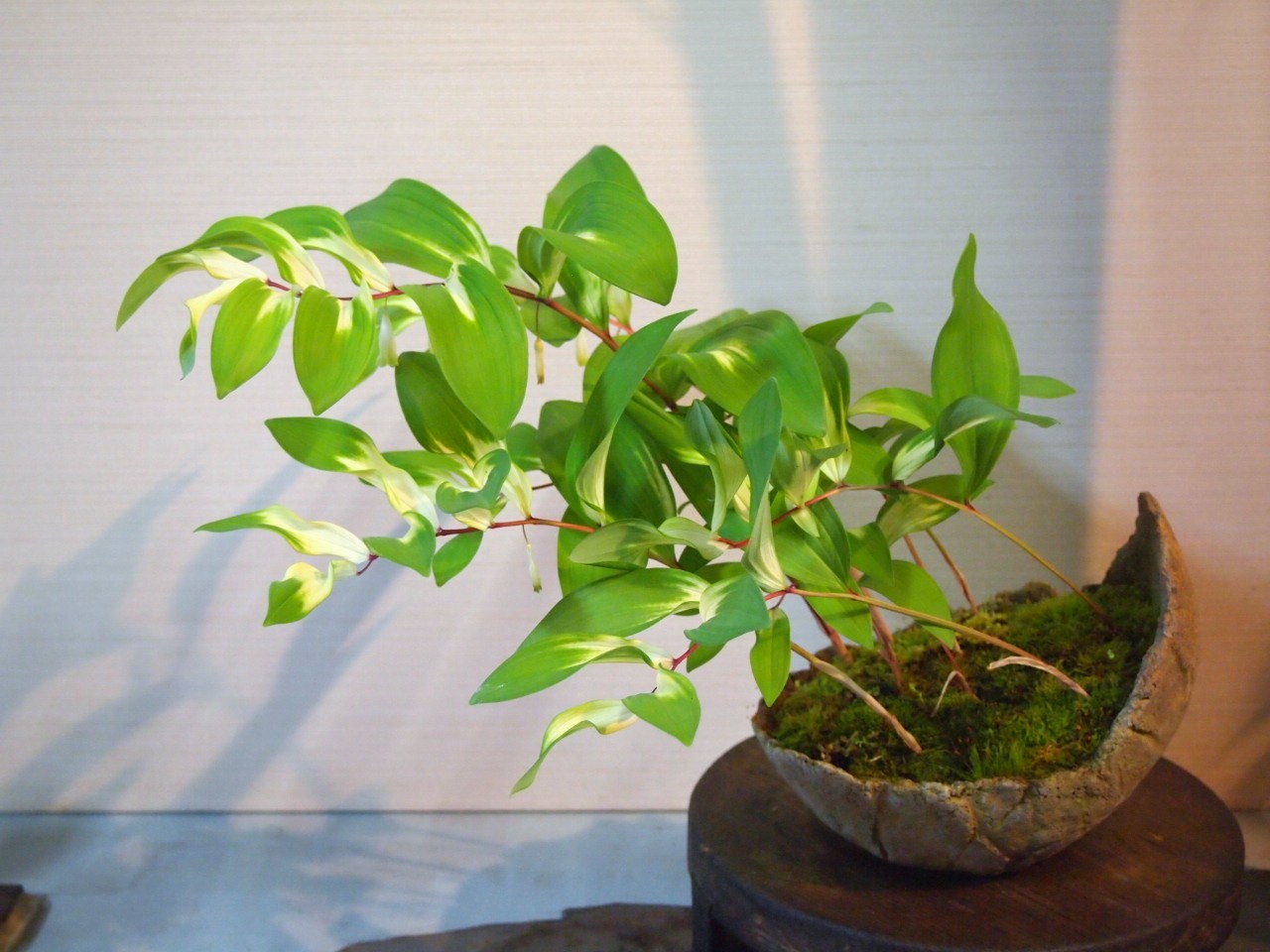 a0173043_043313.jpg