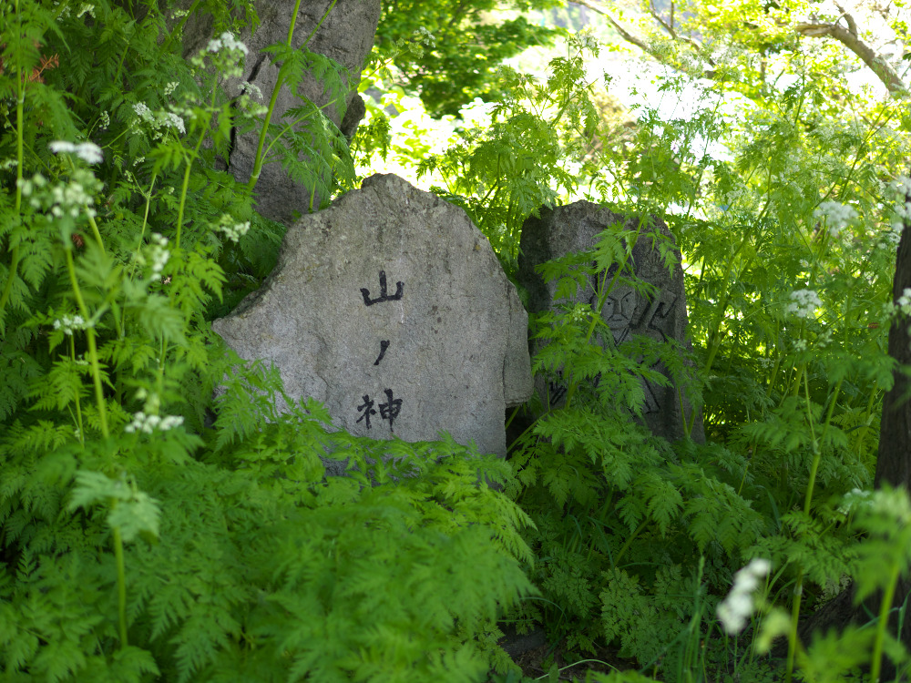 a0186647_22481899.jpg
