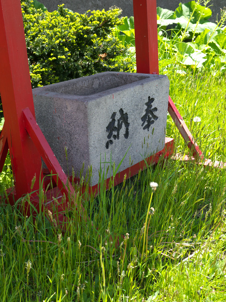 a0186647_237477.jpg
