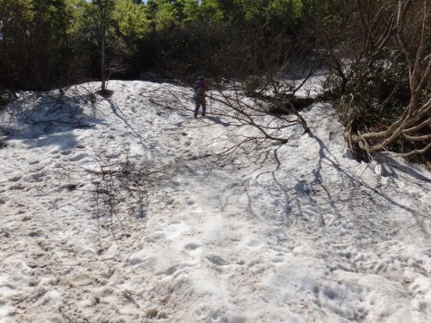 b0189948_2125757.jpg