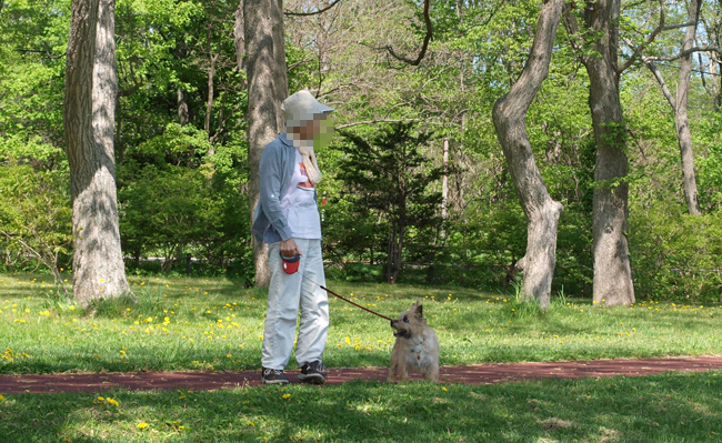 大沼公園キャンプ場でお昼寝しよう！　(2012.05.27)　　その２_c0147548_10321279.jpg