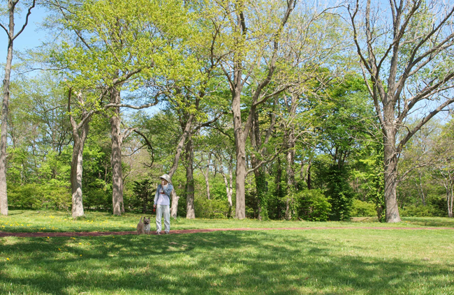 大沼公園キャンプ場でお昼寝しよう！　(2012.05.27)　　その２_c0147548_10345766.jpg