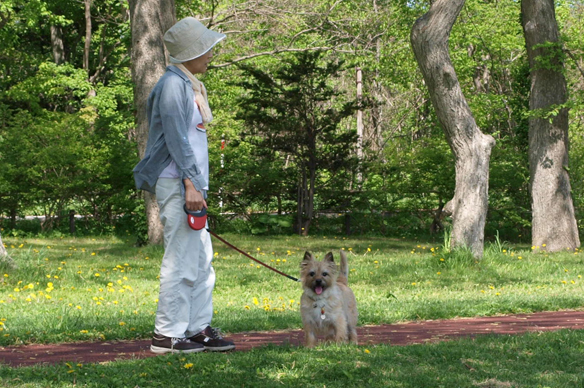 大沼公園キャンプ場でお昼寝しよう！　(2012.05.27)　　その２_c0147548_1034672.jpg