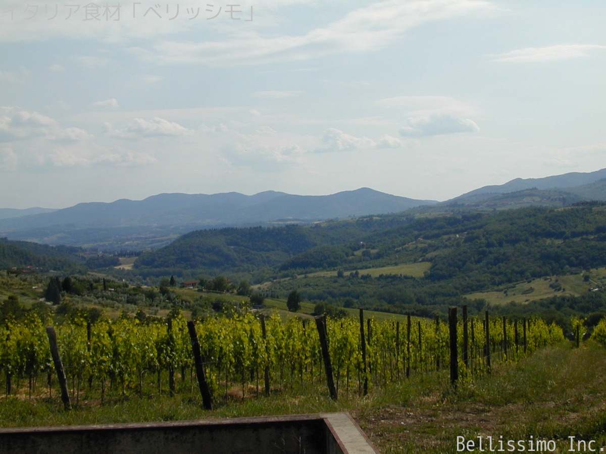 イタリア・スローフード食材の旅　2012年春　vol.09　「フィレンツェから北の郊外へ」_c0003150_1422859.jpg