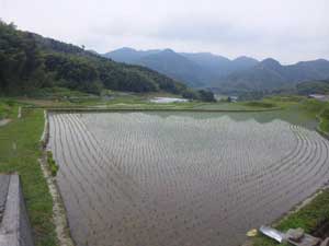 f0229250_2041379.jpg
