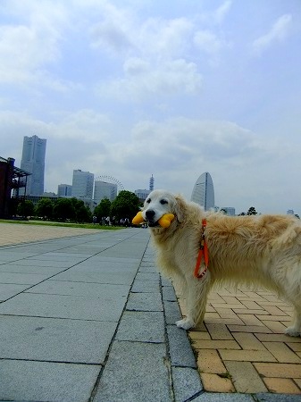 c0097558_0211152.jpg