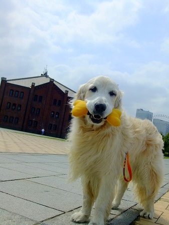 c0097558_02533.jpg
