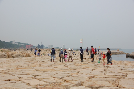 c0108460_22382048.jpg