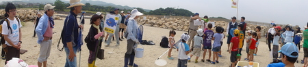 [第５回大阪湾生き物一斉調査]　in  せんなん里海公園磯浜_c0108460_22474023.jpg