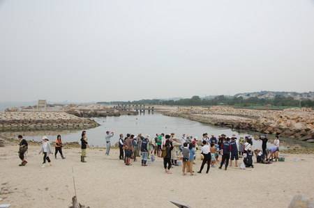 [第５回大阪湾生き物一斉調査]　in  せんなん里海公園磯浜_c0108460_22492789.jpg