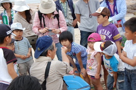 [第５回大阪湾生き物一斉調査]　in  せんなん里海公園磯浜_c0108460_231244100.jpg