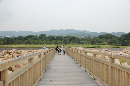 [第５回大阪湾生き物一斉調査]　in  せんなん里海公園磯浜_c0108460_23175534.jpg