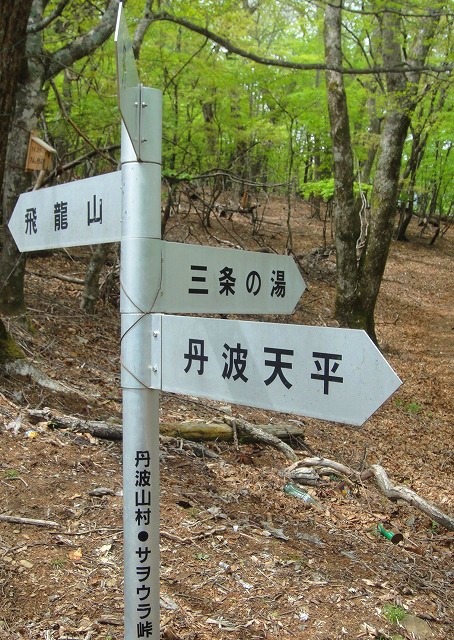 ＜2012年５月19～20日＞新緑の奥秩父「雲取山～飛龍山」縦走_c0119160_202937.jpg