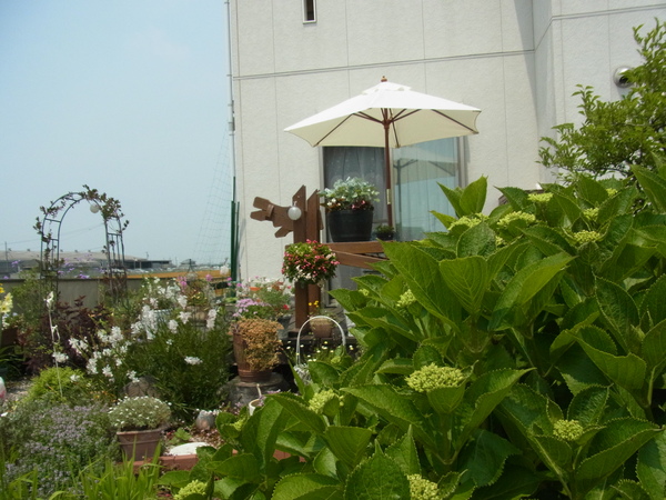 b0194267_21179.jpg