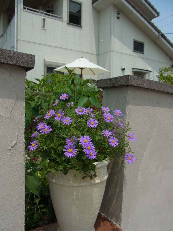 b0194267_2191122.jpg