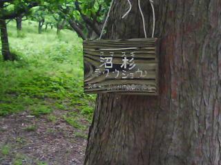 f0150767_20335753.jpg