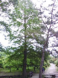 f0150767_2034254.jpg