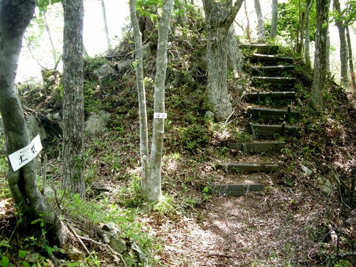 b0185573_13503793.jpg