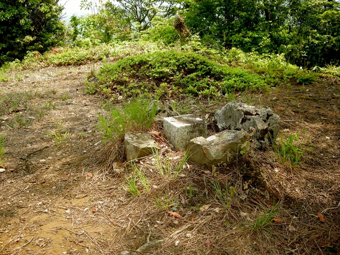b0185573_1429539.jpg