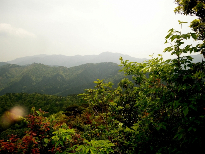 b0185573_14312981.jpg